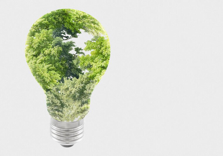 Ljuskälla med gröna växter