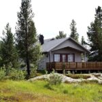 Julhandeln i Sverige – från tradition till konsumtionsevent